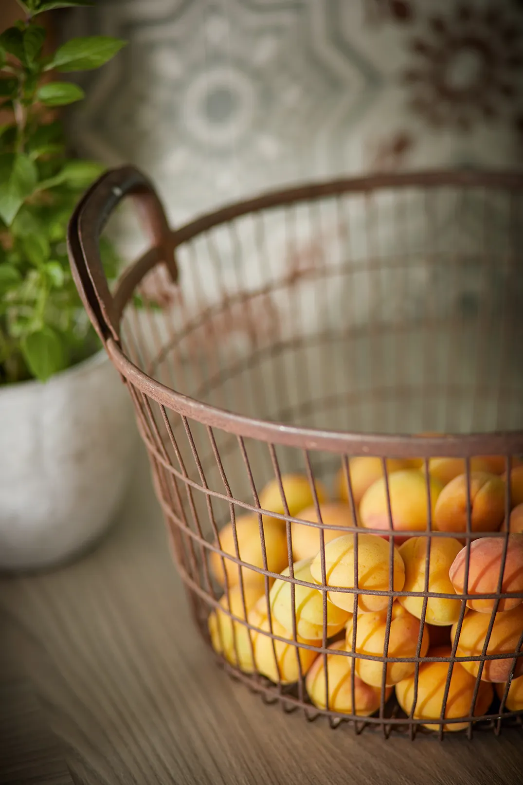 BG5992001_02_VIA-L550_Mood_Obstkorb.webp