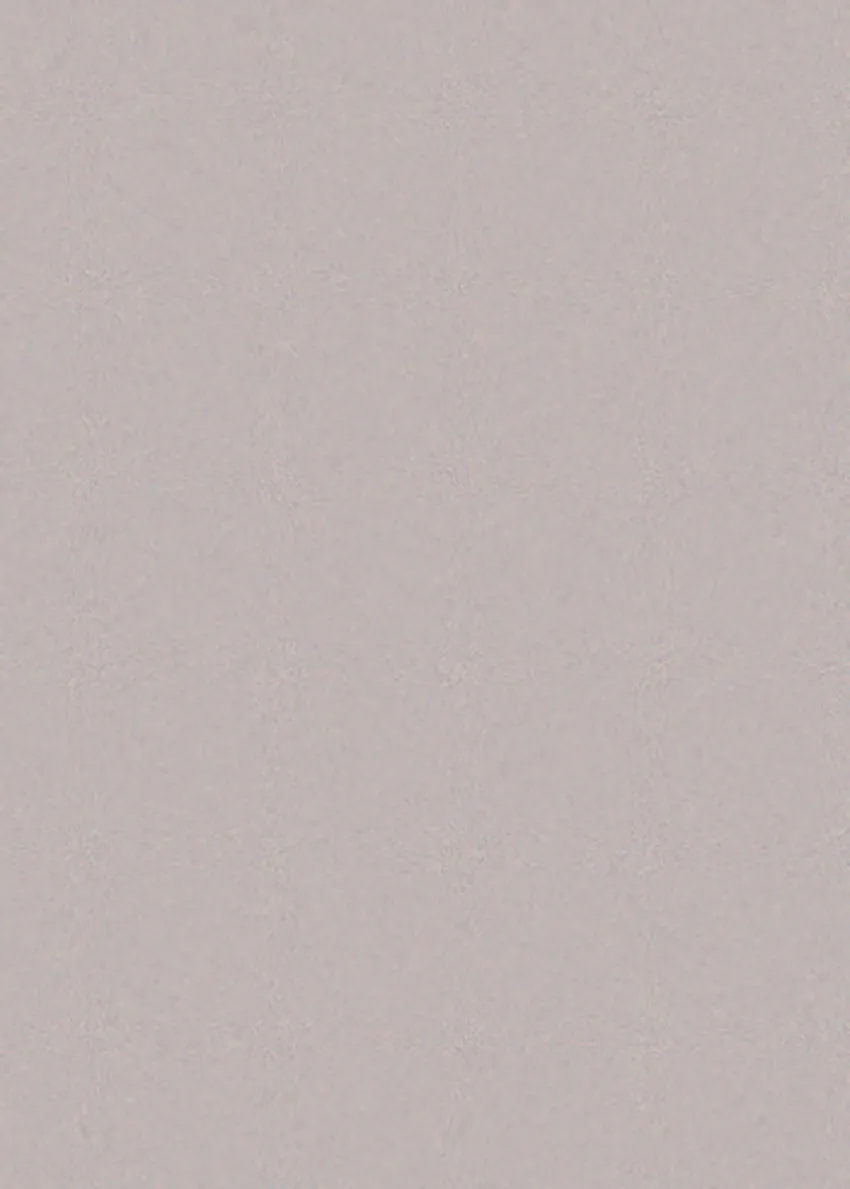 171.webp