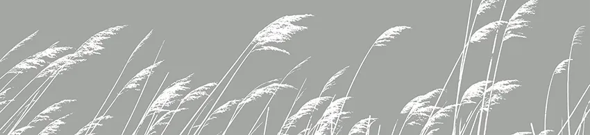 Glasnische_GM12L_Graeser_im_Wind.webp