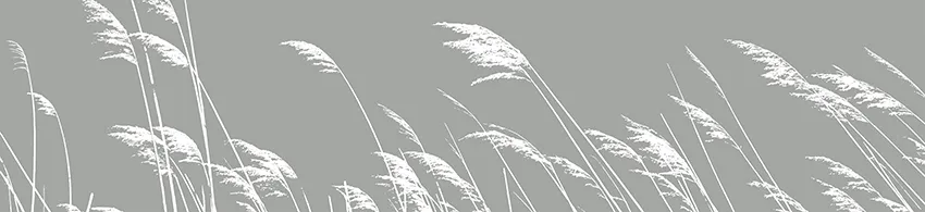 Glasnische_GM12R_Graeser_im_Wind.webp