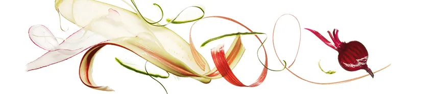 Glasnische_GM16_Julienne.webp